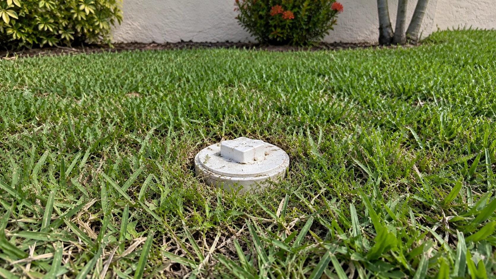 The same cleanout closed, with the grass tidy around it.