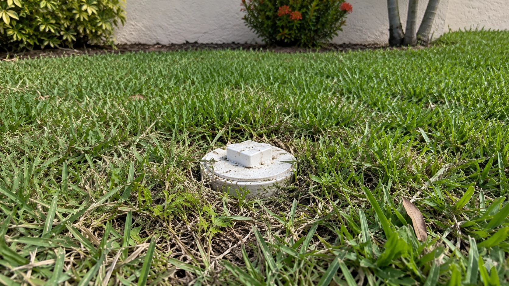 A closed sewer cleanout cap in a South Florida yard.